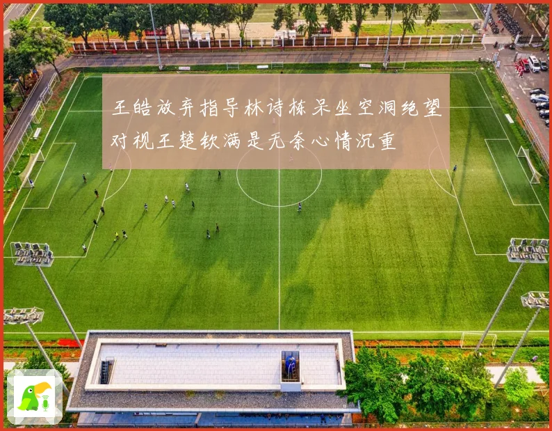 王皓放弃指导林诗栋呆坐空洞绝望对视王楚钦满是无奈心情沉重