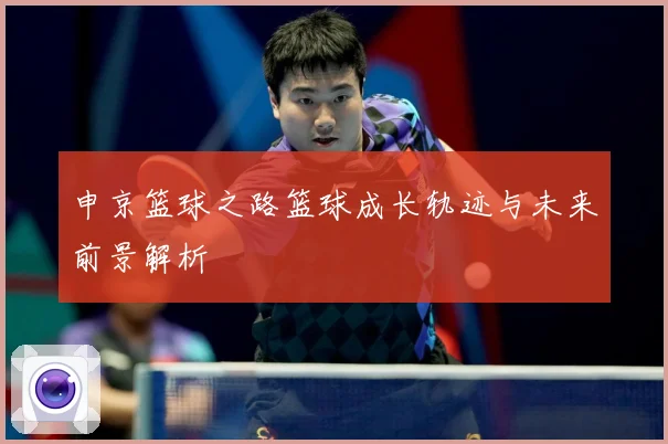 申京篮球之路篮球成长轨迹与未来前景解析