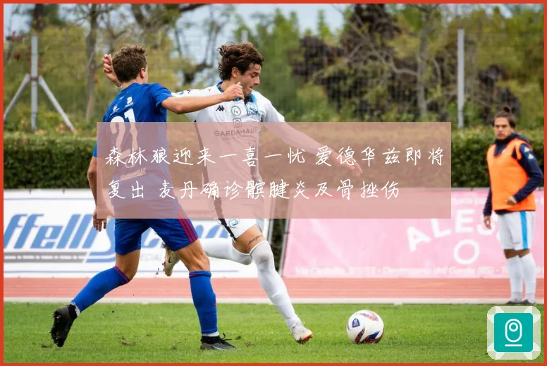 森林狼迎来一喜一忧 爱德华兹即将复出 麦丹确诊髌腱炎及骨挫伤